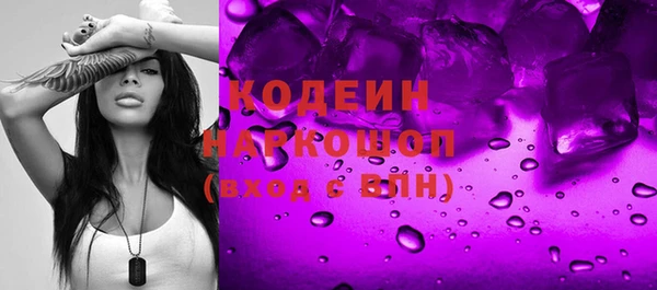индика Горняк