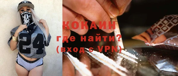 индика Горняк