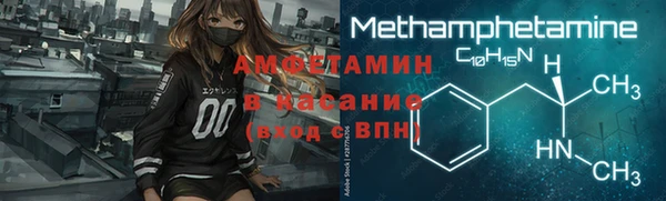 индика Горняк