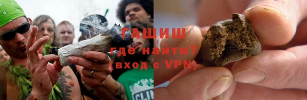 индика Горняк
