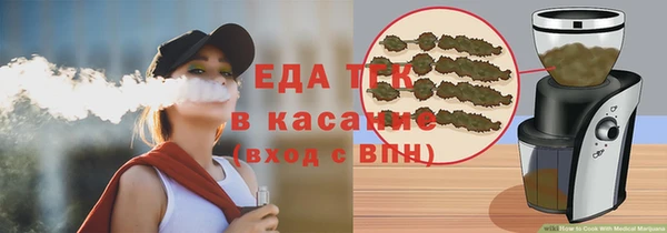 индика Горняк