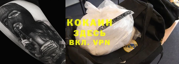 индика Горняк