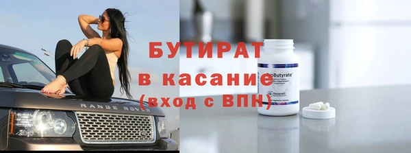 индика Горняк