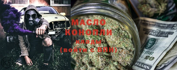 индика Горняк