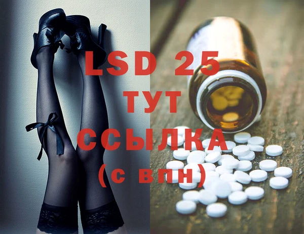 индика Горняк