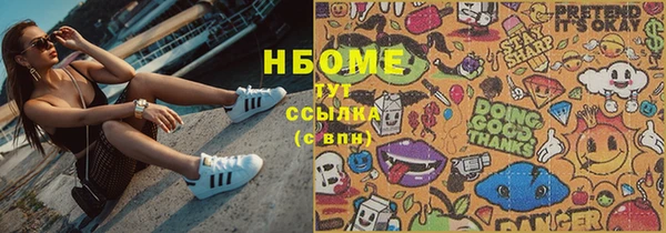 индика Горняк