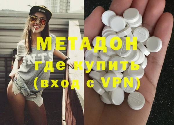 индика Горняк